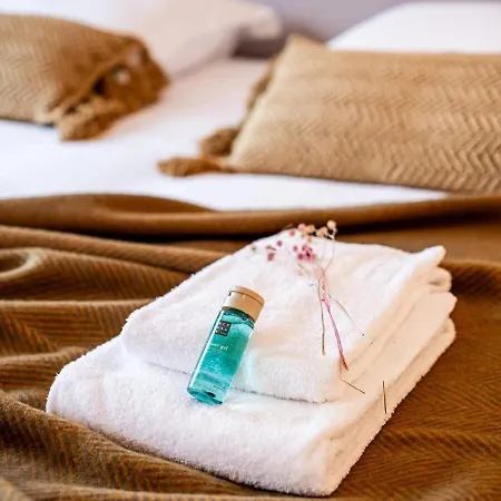 Huswell - Bright With Terrace In Heart Of * 根特